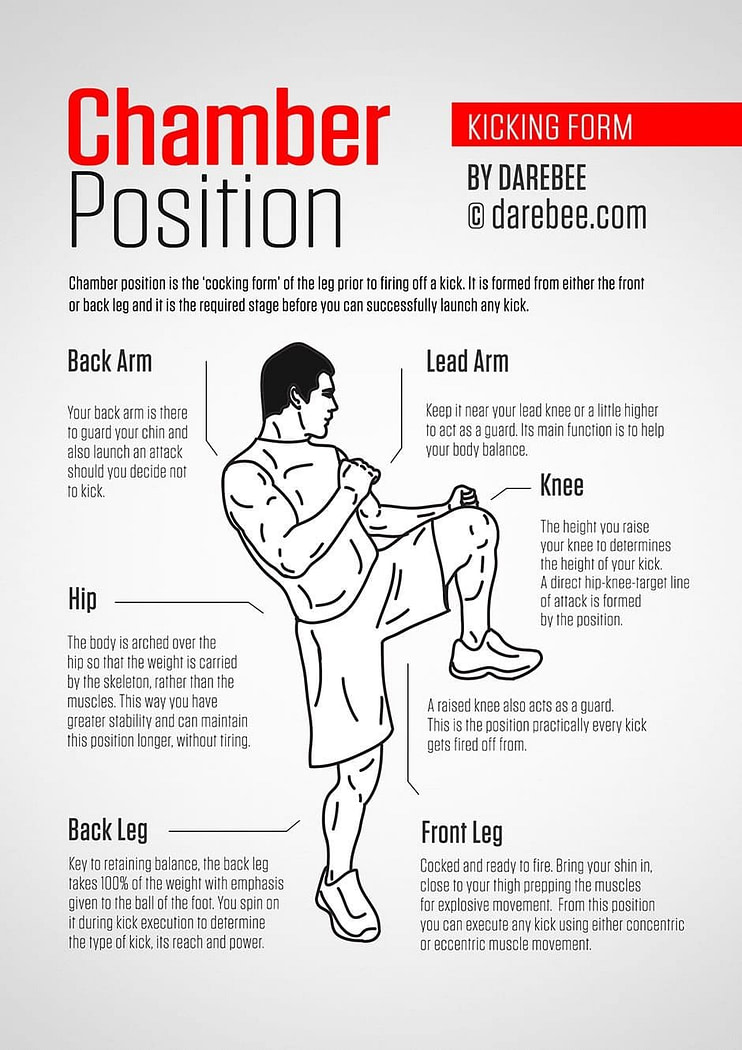 Martial artist performing kicking drills showing progressive training methods including balance work Martial artist performing kicking drills showing progressive training methods including balance work