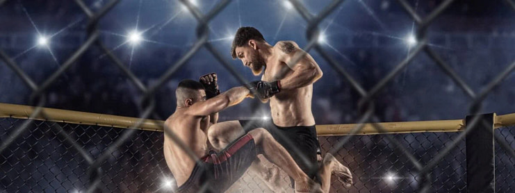 MMA fighters demonstrating technique combinations and transitions in the octagon
