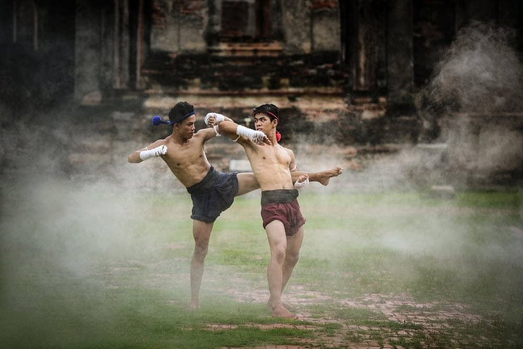 Comprehensive guide analyzing what truly makes a martial art dangerous